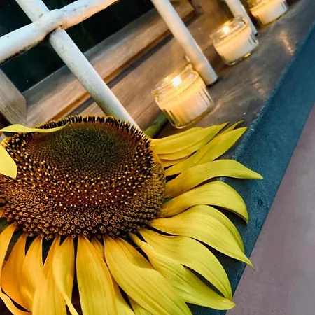 Nyaraló Al Fiorentino *