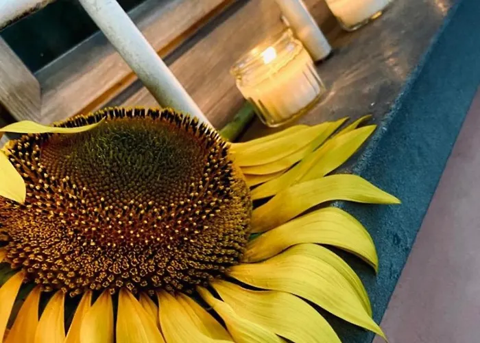 Tatil Evi Al Fiorentino *