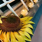 Ferienhaus Al Fiorentino *